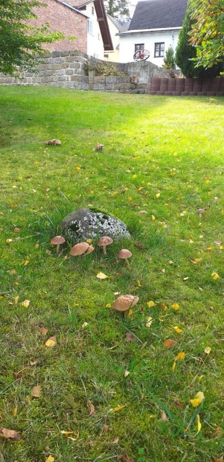 Rekreacni Dum Pohoda Jiřetín pod Jedlovou エクステリア 写真